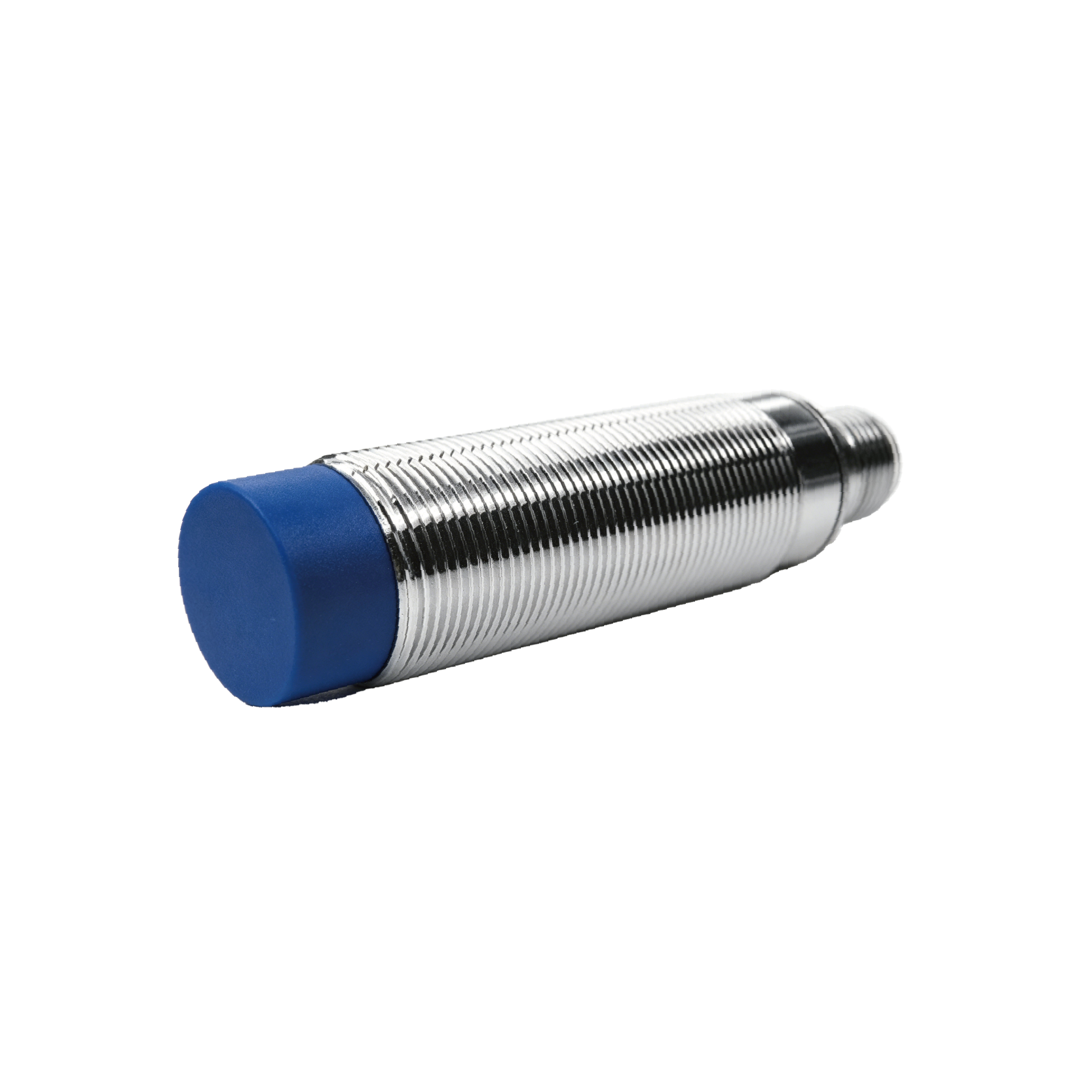 BIS5P28